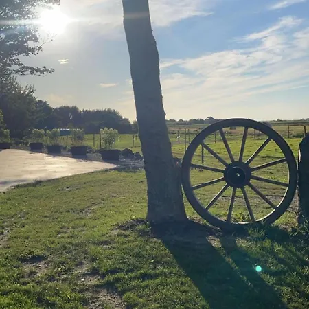 酒店 Bjerremark Og Kursuscenter 岑讷